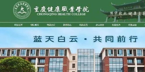 重庆首例民办高校重整案招投资人,重庆健康职业学院将凤凰涅槃