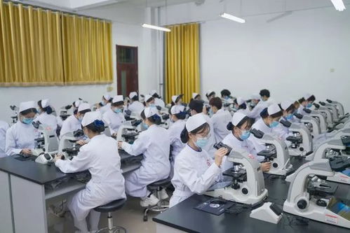 连续两年 山东协和学院蝉联全国民办高校主榜第一名