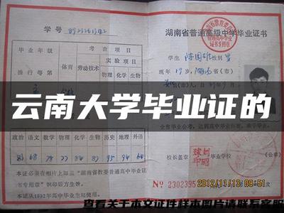 云南大学毕业证的