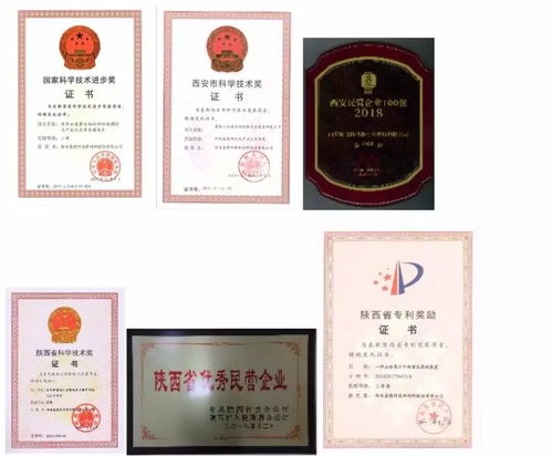 高陵优秀民营企业家 高月静 以创新促进发展 以发展支持创新