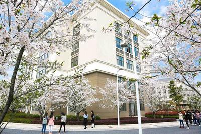 2019浙江省民办大学综合实力分析 哪家民办高校更胜一筹？